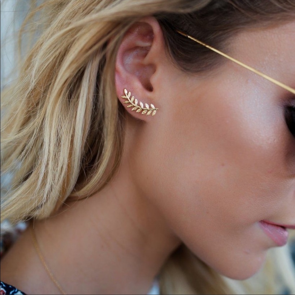 New Gorjana ear climber, earrings.